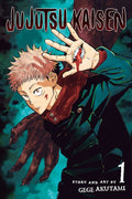 Jujutsu Kaisen, Vol. 1: Ryomen Sukuna